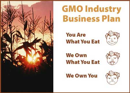 GMO Industry Business Plan WEB